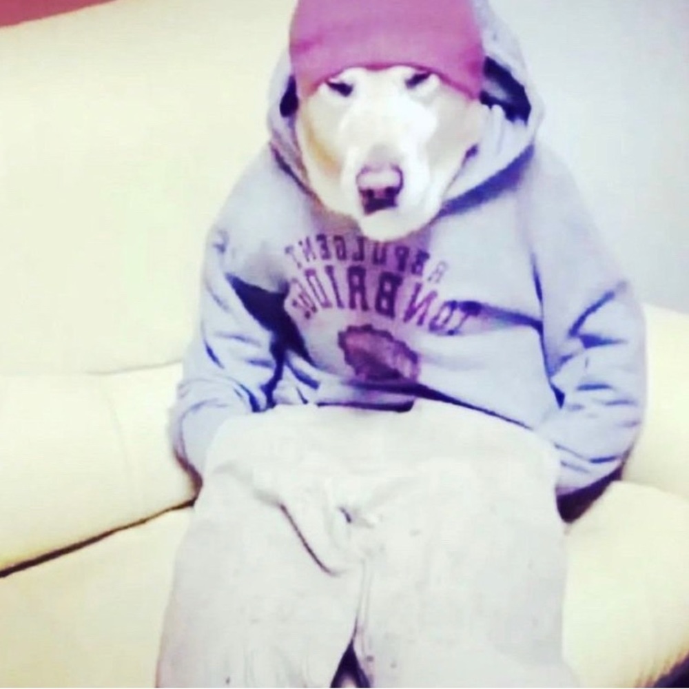 Meet your Posher, xX_stackHunnids_Xx